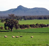 The Rock Nature Reserve - Restaurant Gold Coast