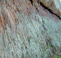 The Rock Nature Reserve - Kengal Aboriginal Place - Restaurant Gold Coast