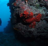 Stepping Stones Dive Site - Restaurant Gold Coast
