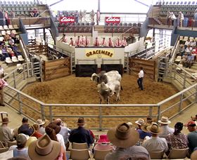 Gracemere Exhibition Complex - Restaurant Gold Coast 1