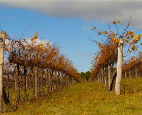 Charles Sturt University Winery Wagga Wagga - Restaurant Gold Coast 3