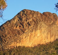 Kaputar scenic drive - Restaurant Gold Coast