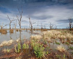 Winton Wetlands Reserve - Restaurant Gold Coast 4