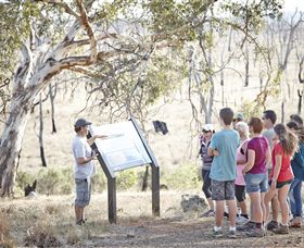 Winton Wetlands Reserve - Restaurant Gold Coast 5