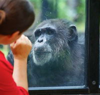 The Rockhampton Zoo - Restaurant Gold Coast