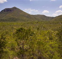 Kutini-Payamu Iron Range National Park CYPAL - Restaurant Gold Coast