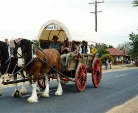 The Trek Wagon Walla Walla - Restaurant Gold Coast 1