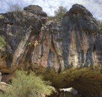 Borenore Karst Conservation Reserve - Restaurant Gold Coast