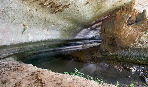 Verandah Cave - Restaurant Gold Coast 3