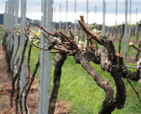 Stockmans Ridge Wines - Restaurant Gold Coast 2