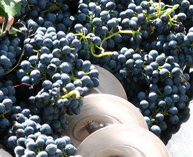 Orange Mountain Wines - Restaurant Gold Coast 2