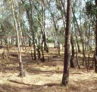 Chiltern-Mt Pilot National Park - Restaurant Gold Coast