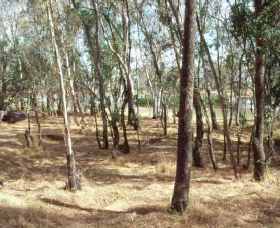 Chiltern-Mt Pilot National Park - Restaurant Gold Coast 0