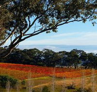 Bloodwood Estate - Restaurant Gold Coast