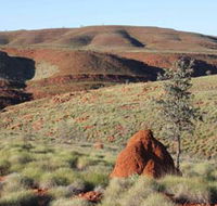 Camel Trail Millstream-Chichester National Park - Restaurant Gold Coast