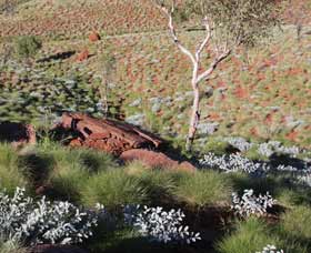 Camel Trail, Millstream-Chichester National Park - Restaurant Gold Coast 2