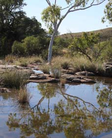 Camel Trail, Millstream-Chichester National Park - Restaurant Gold Coast 3