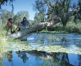 Millstream Chichester National Park - Restaurant Gold Coast 1