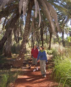 Millstream Chichester National Park - Restaurant Gold Coast 2