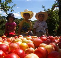 Bonny Glen Fruits - Restaurant Gold Coast