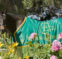 Living Legends The International Home of Rest for Champion Horses - Restaurant Gold Coast