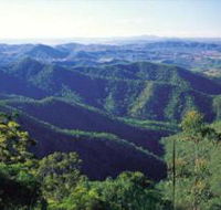 Kroombit Tops National Park - Restaurant Gold Coast