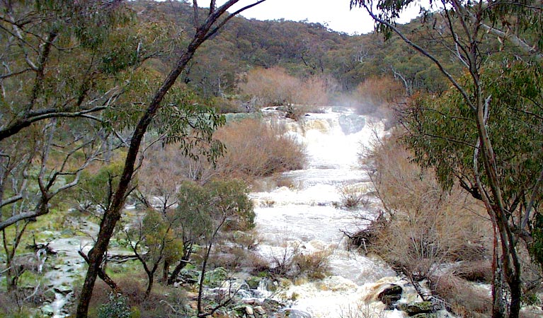 Ophir NSW Restaurant Gold Coast