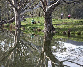 Wagirra Trail And Yindyamarra Sculpture Walk - Restaurant Gold Coast 1