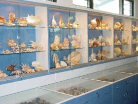 Shell World Yeppoon - Restaurant Gold Coast 1