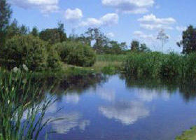 Yan Yean Reservoir Park - Restaurant Gold Coast 0