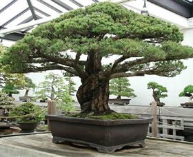 Peards Complex Albury - Restaurant Gold Coast 0