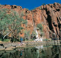 Python Pool - Restaurant Gold Coast