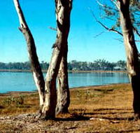 Lake Broadwater Conservation Park - Restaurant Gold Coast