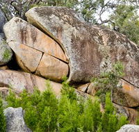 Frog Rock - Restaurant Gold Coast