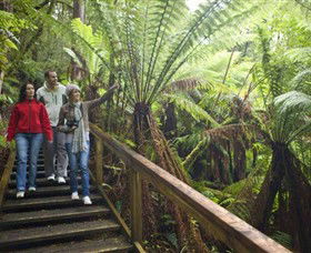 Otway Fly Treetop Adventures - Restaurant Gold Coast 0
