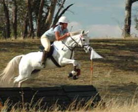 National Equestrian Centre - Kerrabee - Restaurant Gold Coast 0