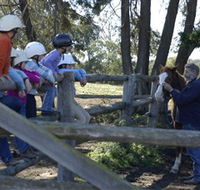 Harlow Park Horse Riding - Restaurant Gold Coast