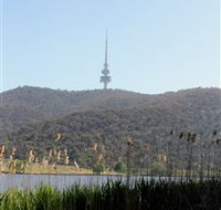 Black Mountain Peninsula - Restaurant Gold Coast