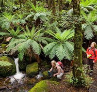 Baw Baw National Park - Restaurant Gold Coast