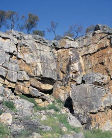 Watheroo National Park - Restaurant Gold Coast 0