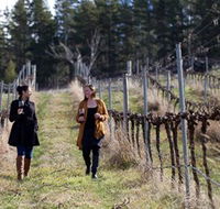 Mount Majura Vineyard - Restaurant Gold Coast