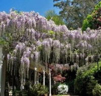 Nooroo Gardens - Restaurant Gold Coast