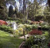 Windyridge Garden Mount Wilson - Restaurant Gold Coast