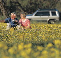 Coalseam Conservation Park - Restaurant Gold Coast