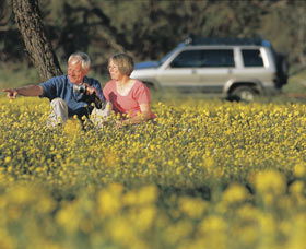 Coalseam Conservation Park - Restaurant Gold Coast 0
