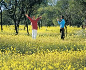 Coalseam Conservation Park - Restaurant Gold Coast 2