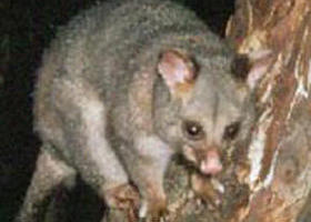 Moondarra VIC Restaurant Gold Coast