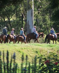 Springvale Horse Treks - Restaurant Gold Coast 1