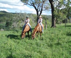 Springvale Horse Treks - Restaurant Gold Coast 3