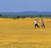 Wildflowers of the Mid West - Restaurant Gold Coast
